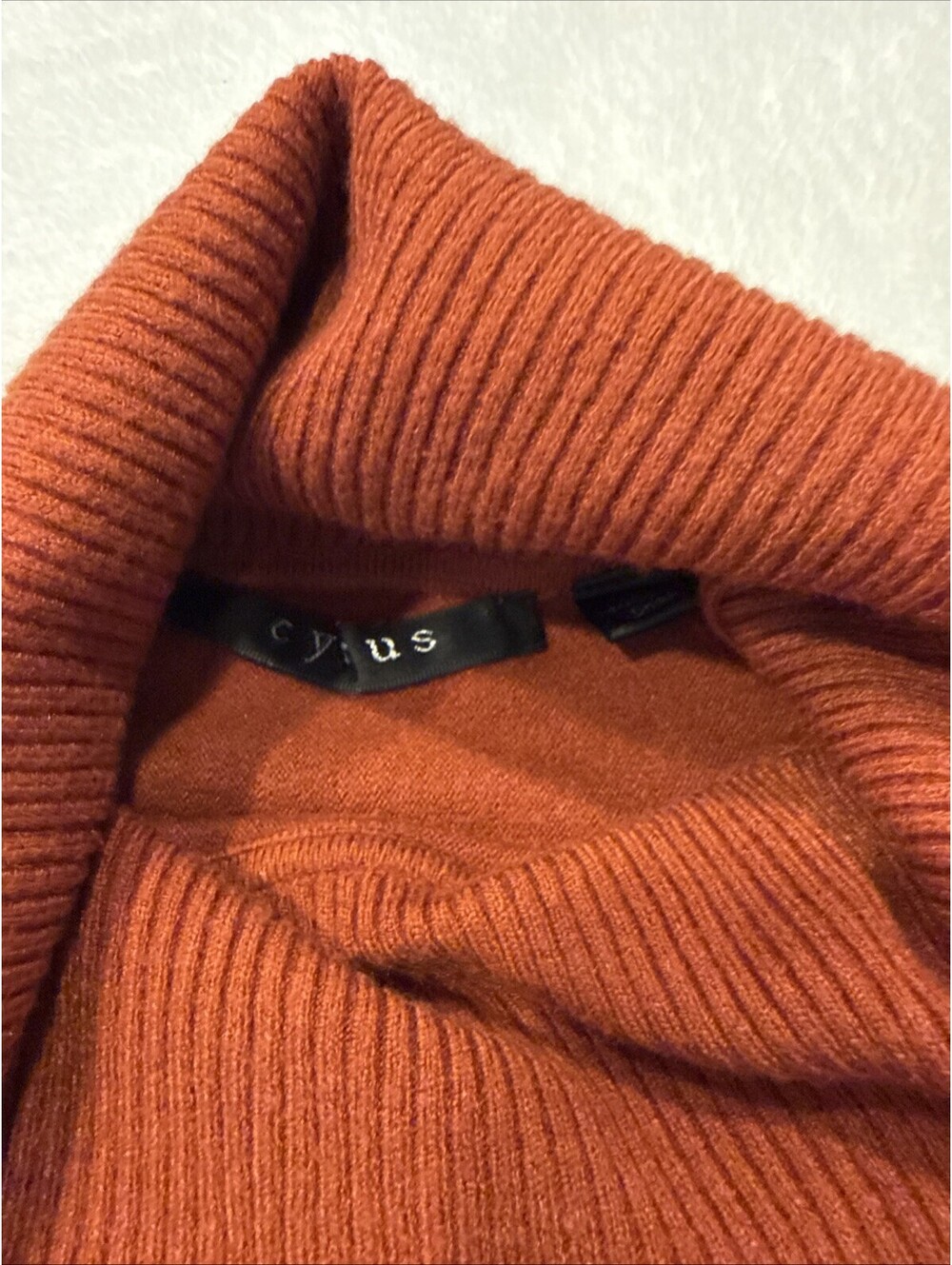 Cyrus Women's Ribbed Turtleneck Fringe Long Sleeve Sweater L Burnt Orange NWT - Picture 3 of 9